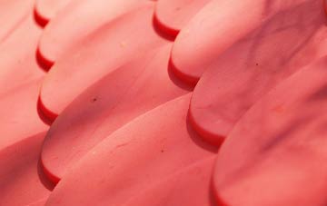 Elstree plastic roof costs